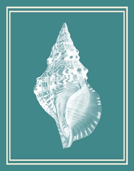 Mixed Nautical White on Teal c