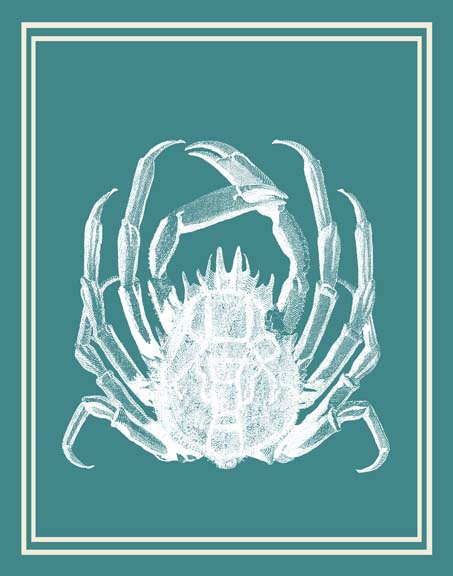 Mixed Nautical White on Teal f