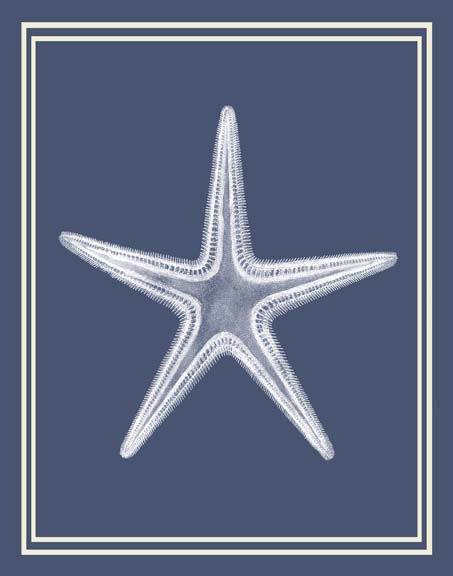 Mixed Nautical White on Indigo Blue a