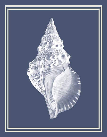 Mixed Nautical White on Indigo Blue c