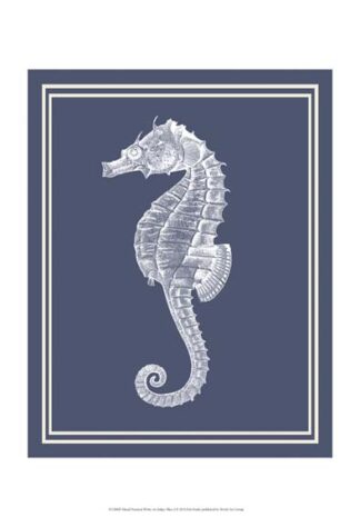 Mixed Nautical White on Indigo Blue d