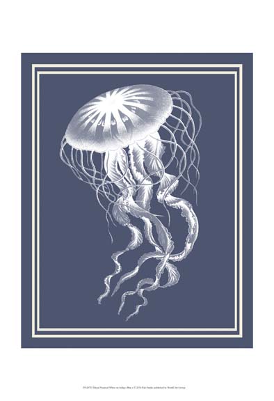 Mixed Nautical White on Indigo Blue e