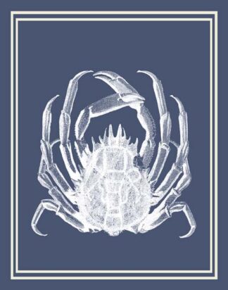 Mixed Nautical White on Indigo Blue f