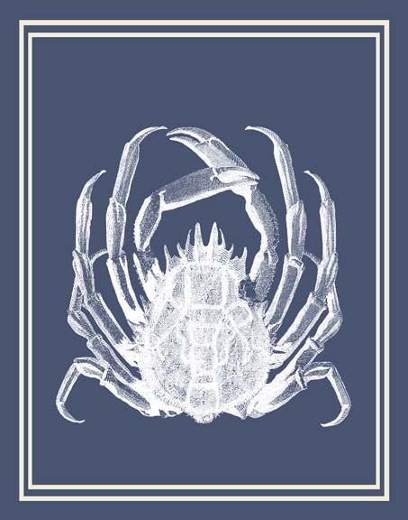 Mixed Nautical White on Indigo Blue f