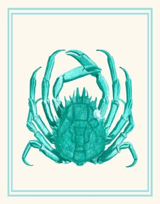 Mixed Nautical Turquoise on Cream b