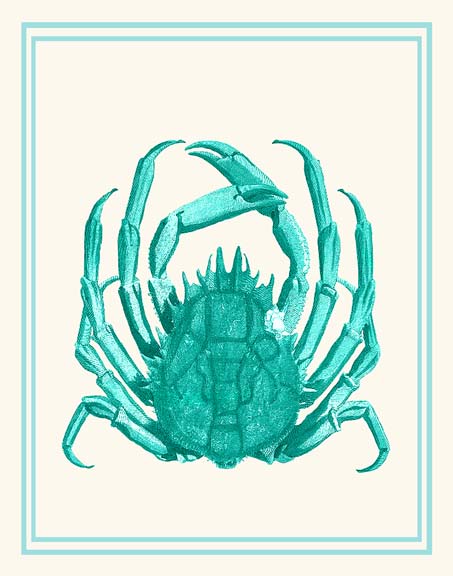 Mixed Nautical Turquoise on Cream b