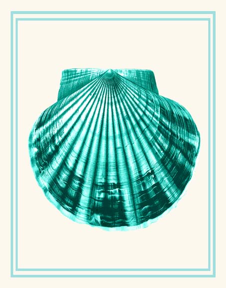 Mixed Nautical Turquoise on Cream d