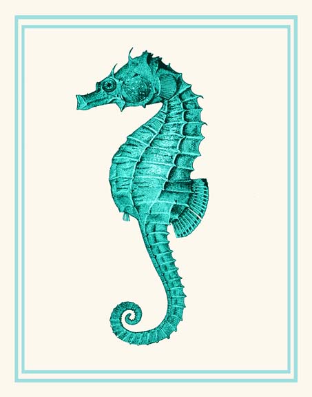 Mixed Nautical Turquoise on Cream e