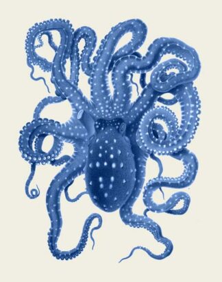 Blue Octopus on Cream a