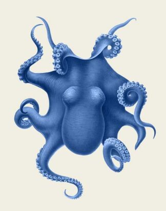Blue Octopus on Cream d