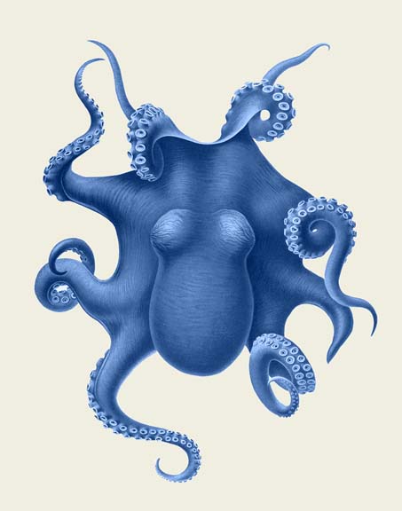 Blue Octopus on Cream d