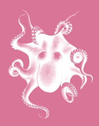 Octopus White on Pink c