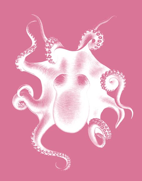 Octopus White on Pink c