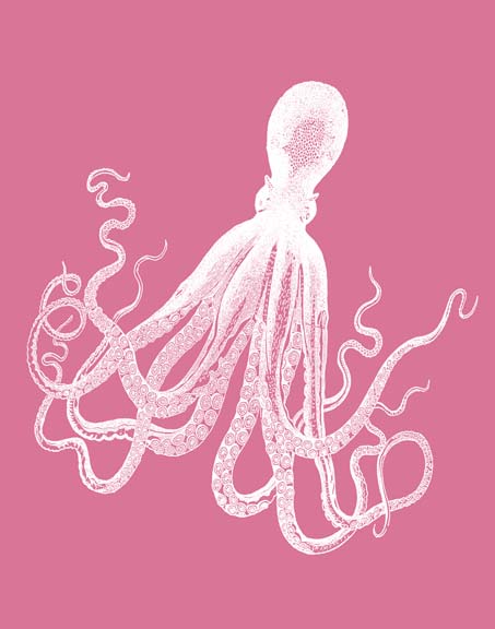 Octopus White on Pink d