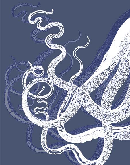 White Octopus on Indigo Blue c