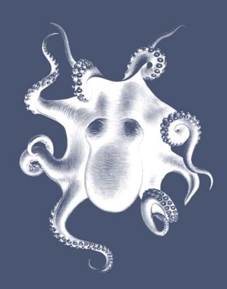 White Octopus on Indigo Blue d
