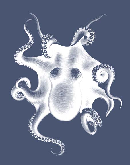 White Octopus on Indigo Blue d