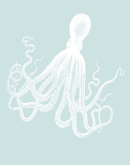 White Octopus on Seafoam e