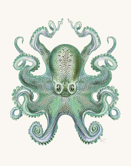 Turquoise Octopus and Squid a
