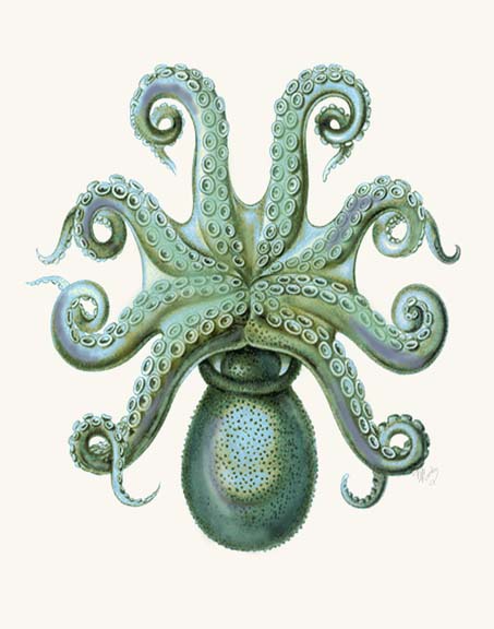 Turquoise Octopus and Squid c