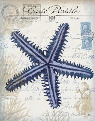 Seaside Postcard Cream a