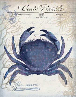 Seaside Postcard Cream e