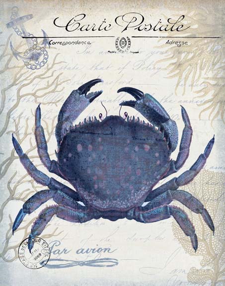 Seaside Postcard Cream e