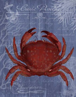 Seaside Postcard Red on Blue f