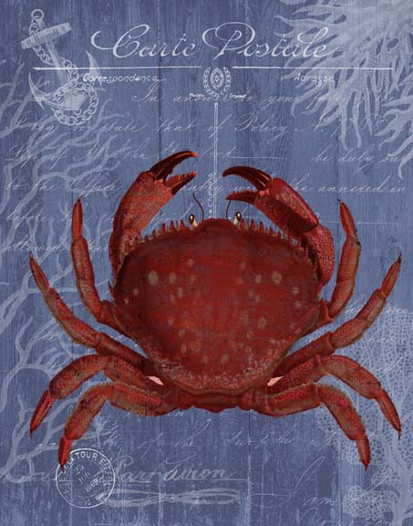 Seaside Postcard Red on Blue f