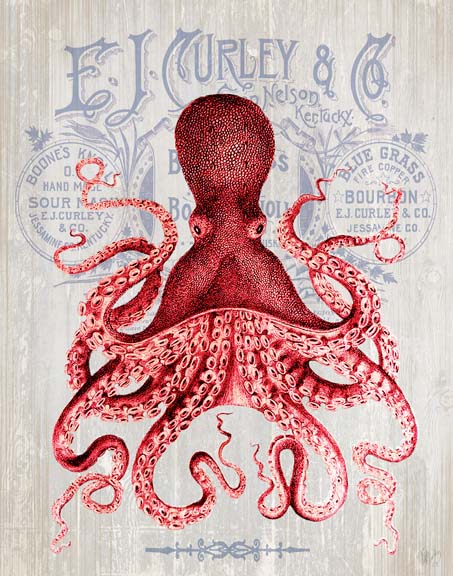 Octopus Prohibition Octopus On White