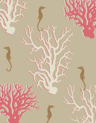 Coral and Seahorse in Beige