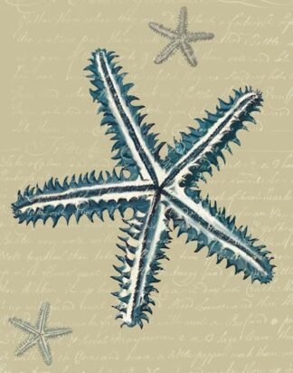 Blue Starfish on Taupe a