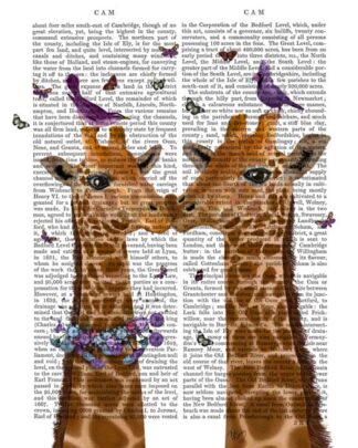 Kissing Giraffes with Birds