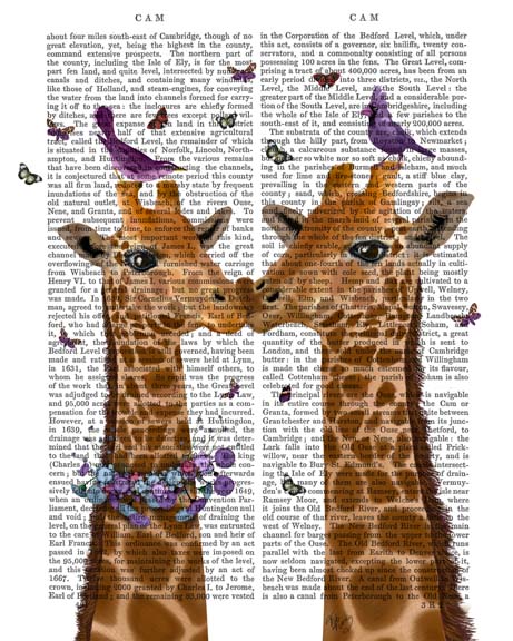 Kissing Giraffes with Birds