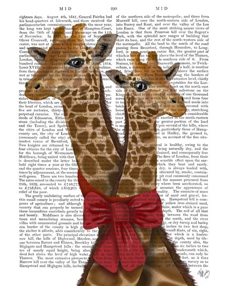 Giraffes and Bow