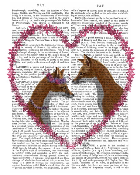 Foxes in Pink Heart