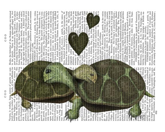 Turtles and Green Hearts