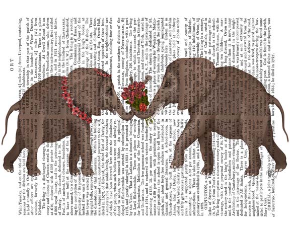 Elephant Bouquet, Landscape
