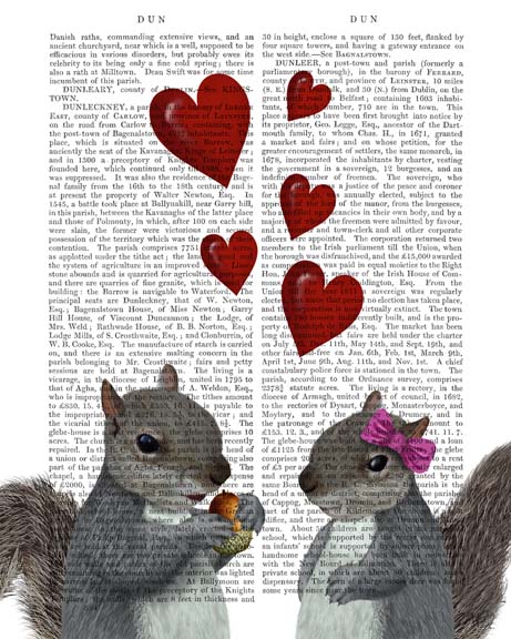 Squirrel Love
