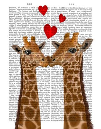 Giraffe Love