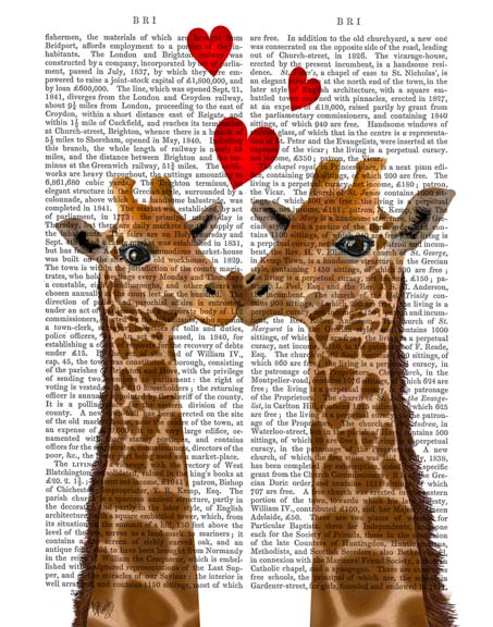 Giraffe Love