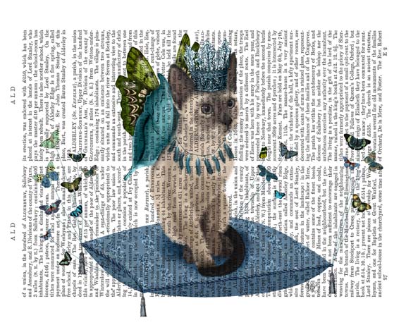 Cat on Pillow with Butterflies