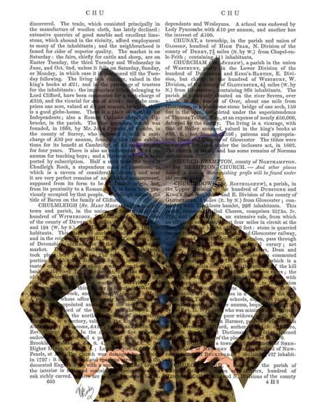 Cat with Leopard Jacket