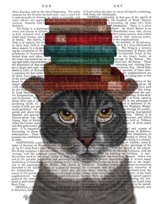 Grey Cat with Books on Head