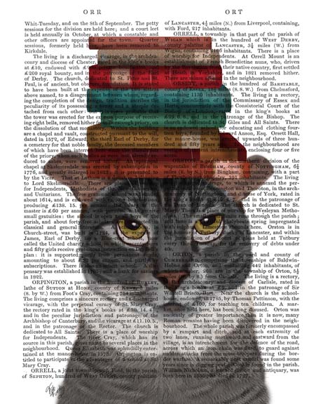 Grey Cat with Books on Head