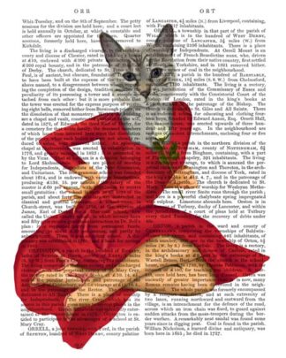 Grey Cat with White Rose