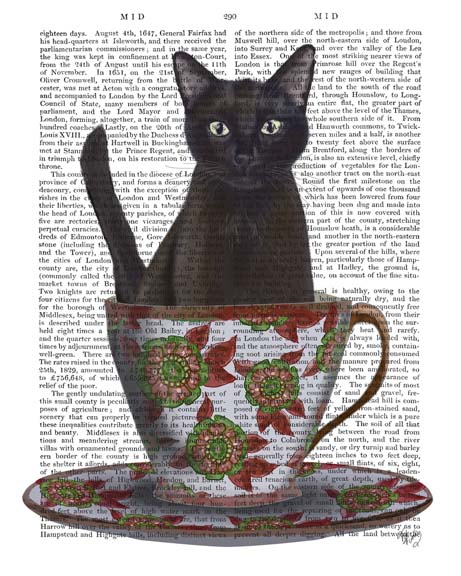 Black Cat in Teacup
