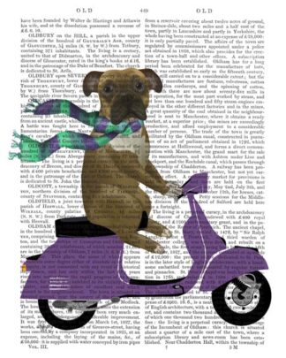Boxer On Moped
