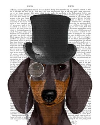 Dachshund, Formal Hound and Hat