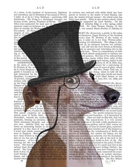 Greyhound, Formal Hound and Hat